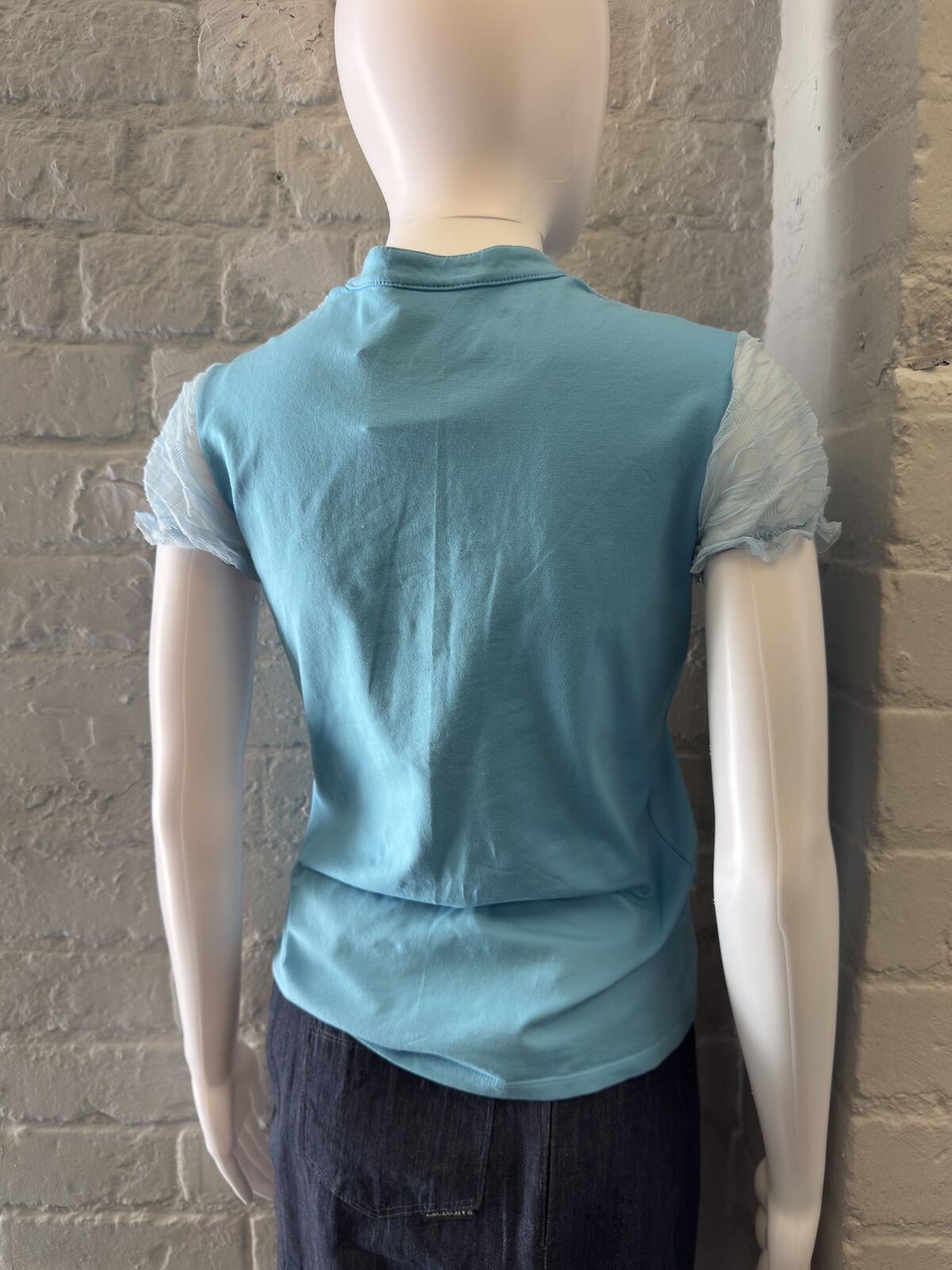 Blue and White Sheer Sleeve Top