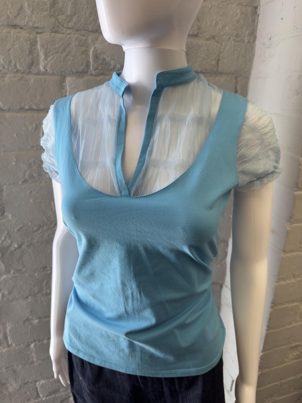 Blue and White Sheer Sleeve Top