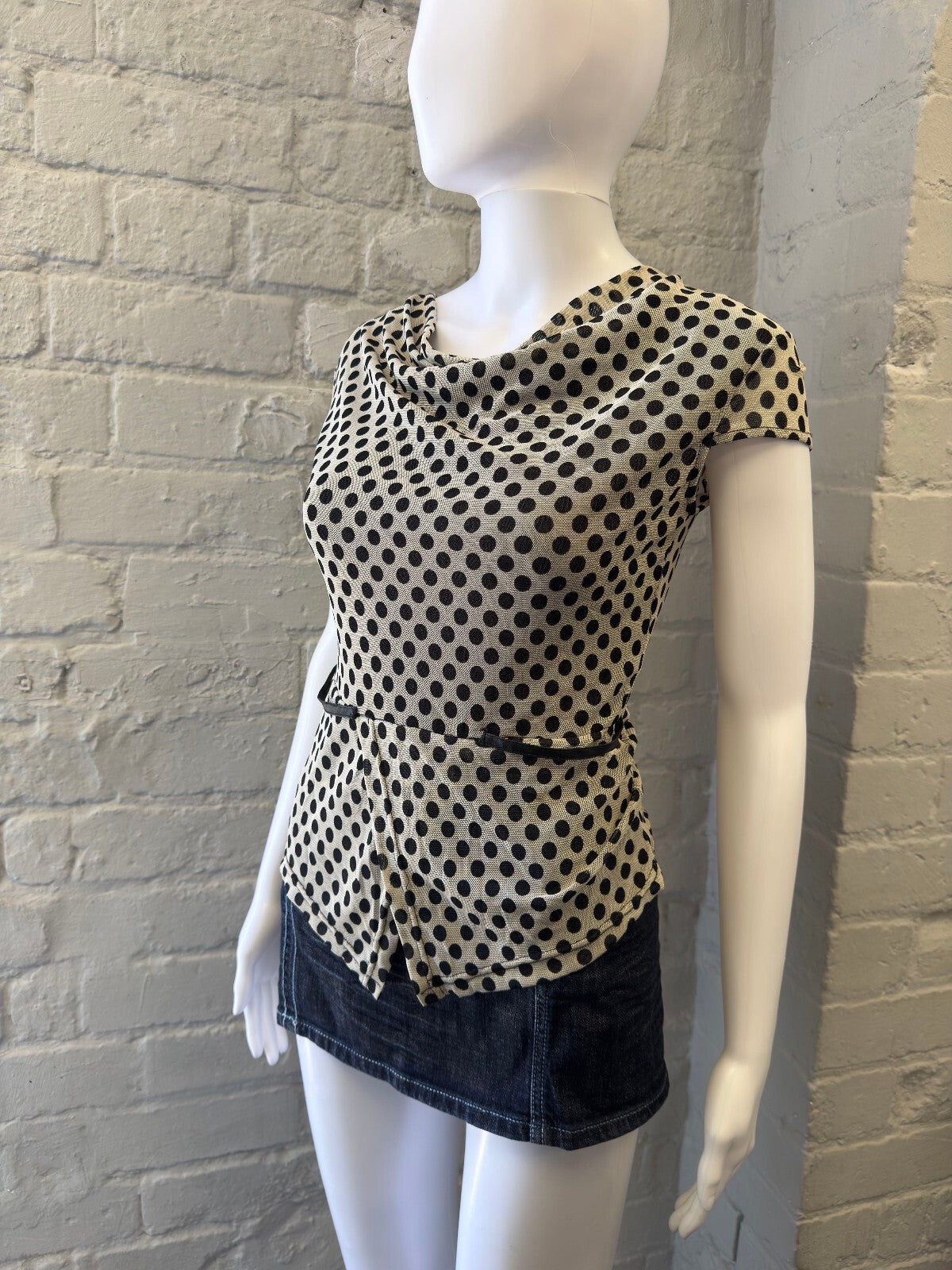 Polka Dot Mesh Short Sleeve Top