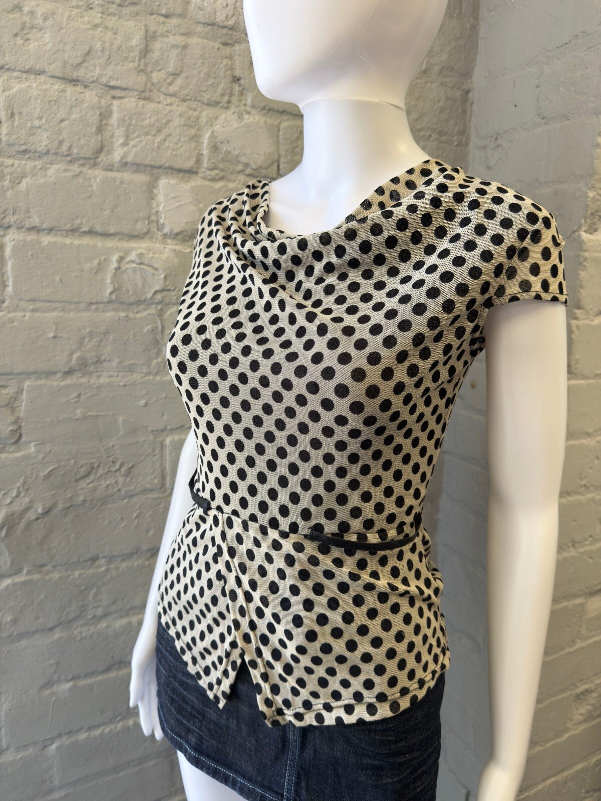 Polka Dot Mesh Short Sleeve Top